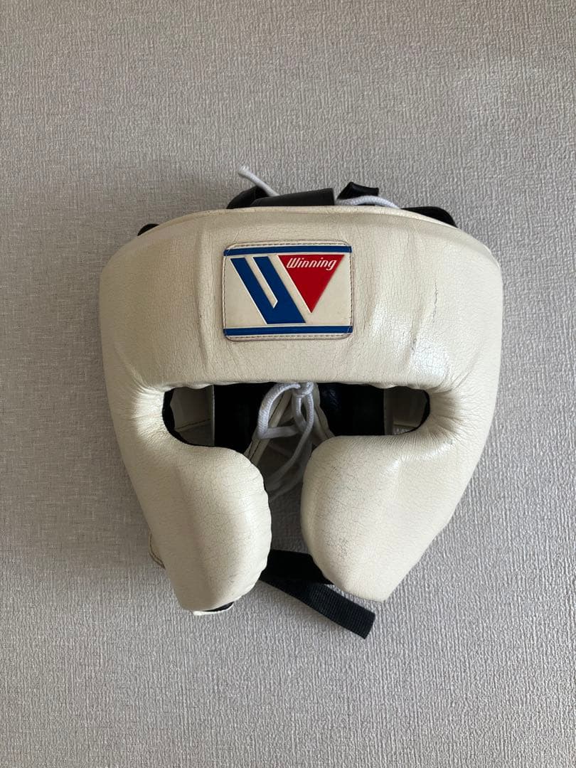 Winning ヘッドギア フルフェイスタイプ ホワイト L FG-2900