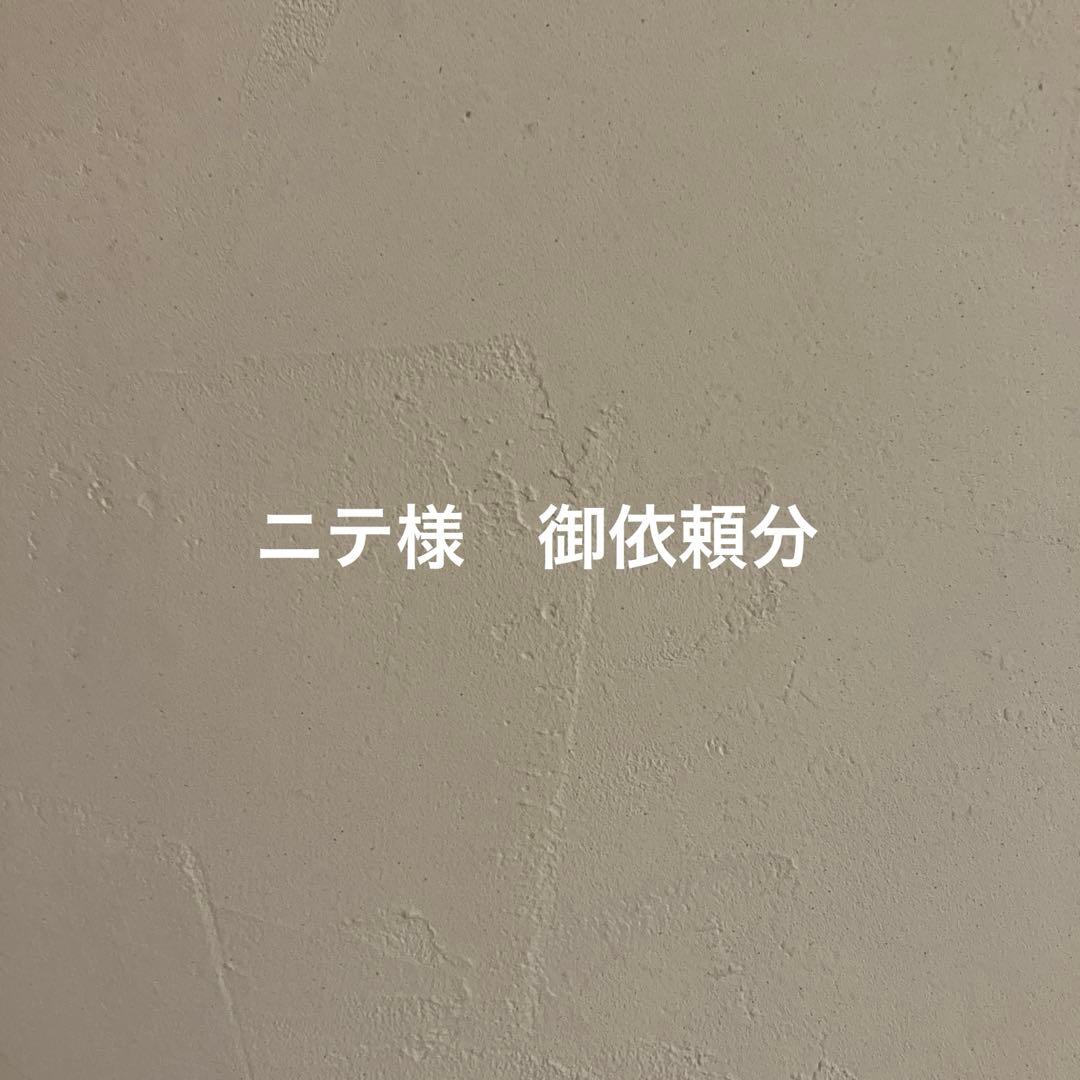 ニテ様　御依頼分