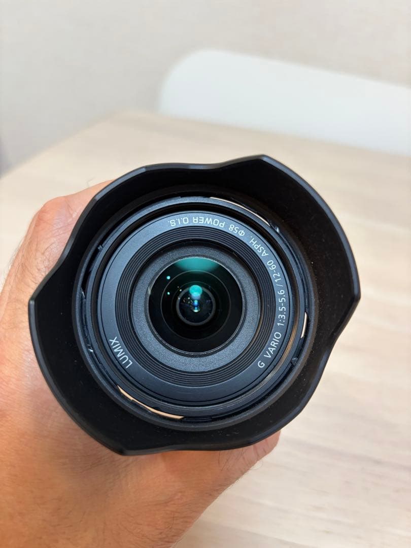 レンズ(ズーム) Panasonic 12-60mm G vario 1:3.5-5.6