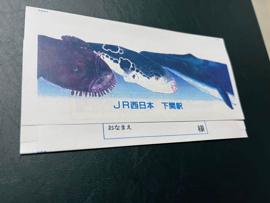 おまけ付⭐︎懐鉄きっぷ　コンプリートパック　24駅32種類