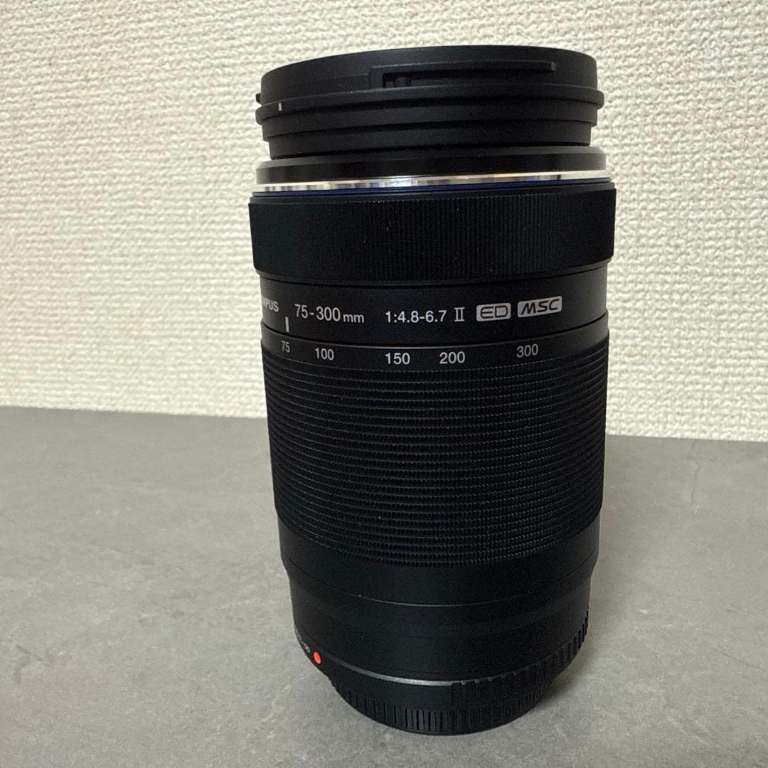 オリンパス M.ZUIKO DIGITAL ED 75-300mm4.8-6.7