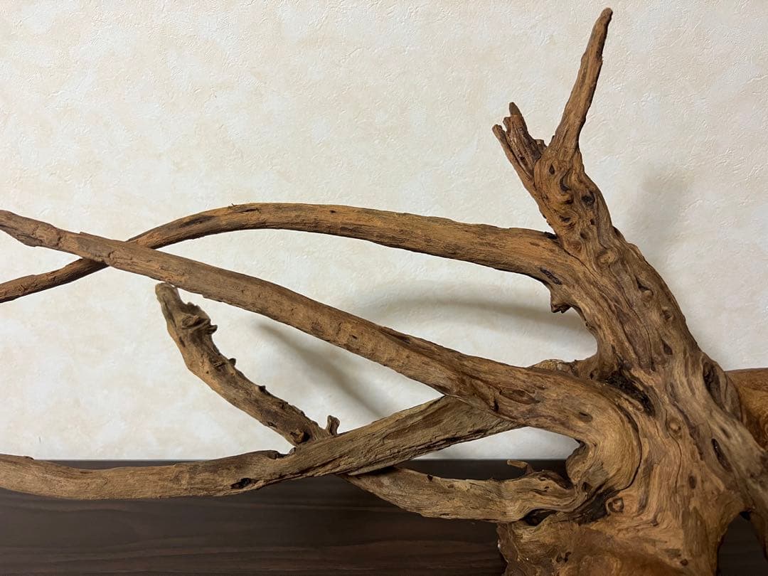 175 流木　ホーンウッド　マシンガンウッド　アクアリウム　ブランチウッド