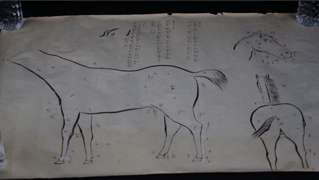 時代 馬学 巻物 まくり 4枚 和本 墨書 馬医書 馬療図 古文書 資料 戦前