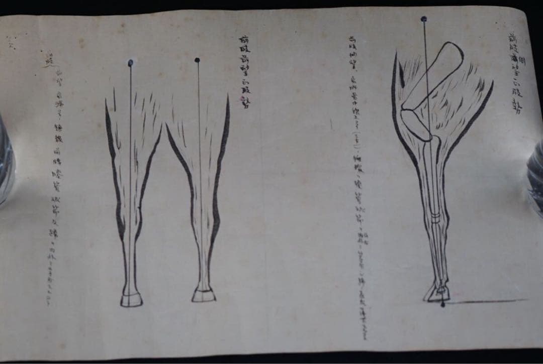 時代 馬学 巻物 まくり 4枚 和本 墨書 馬医書 馬療図 古文書 資料 戦前