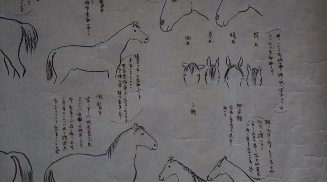 時代 馬学 巻物 まくり 4枚 和本 墨書 馬医書 馬療図 古文書 資料 戦前