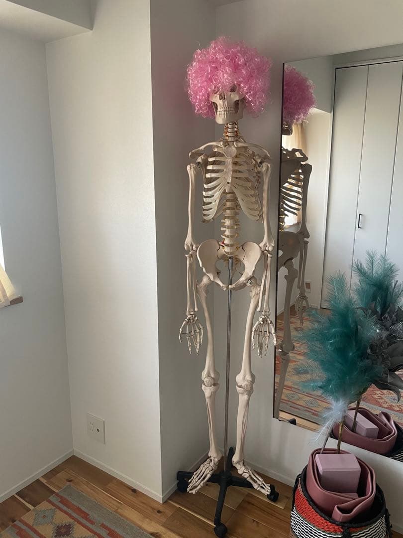 可動式プラスチック人体模型 約170cm 解剖学