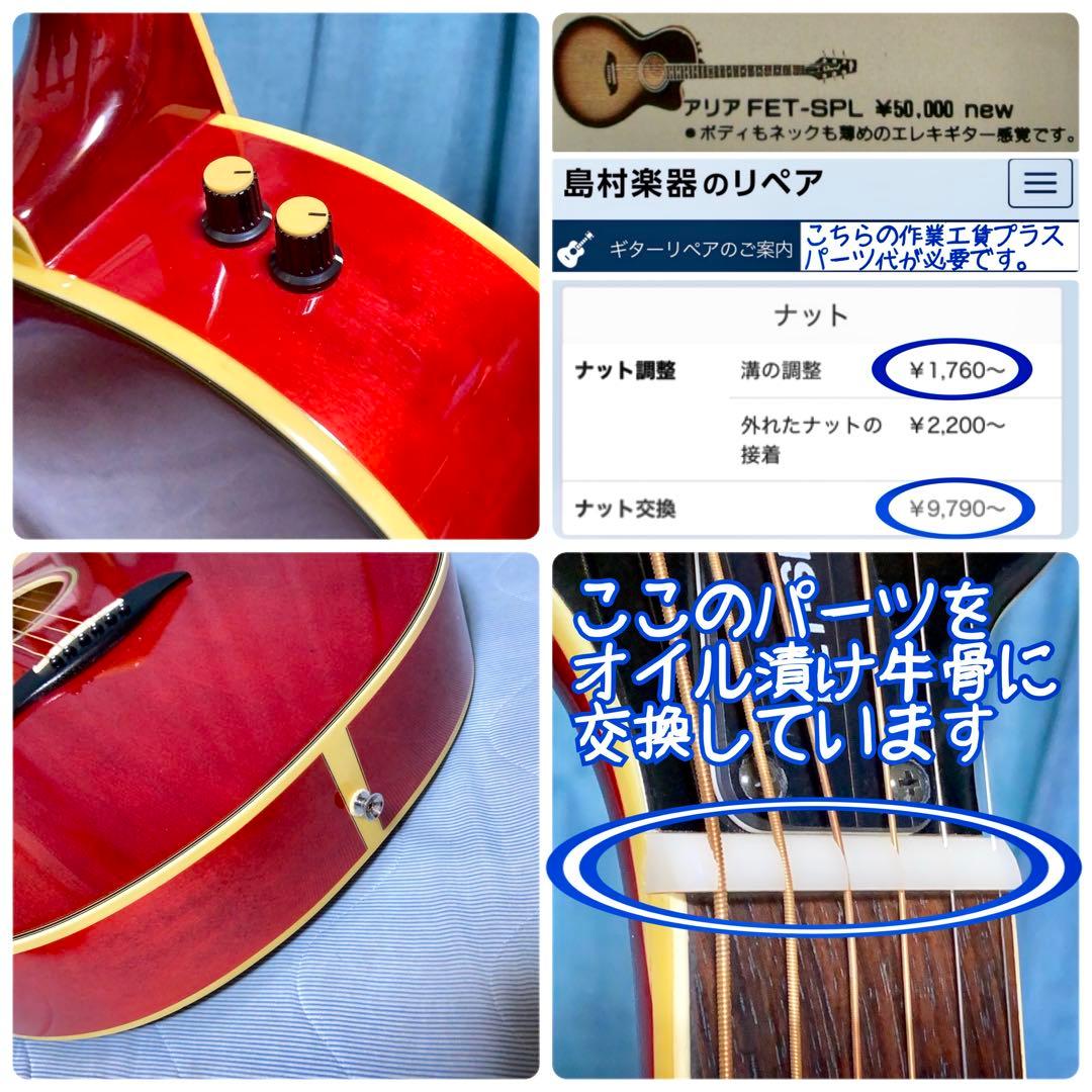 【牛骨★エレアコ】ARIA！ELECODE！エレコード【弾き易く調整☆新品の弦】