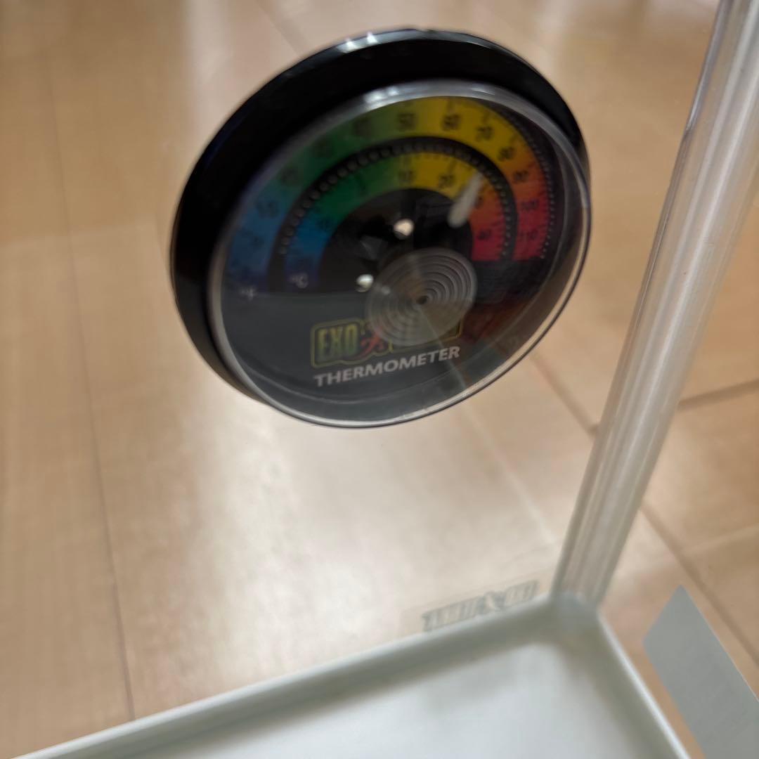 レオパ　飼育ケース　ヒーター　セット