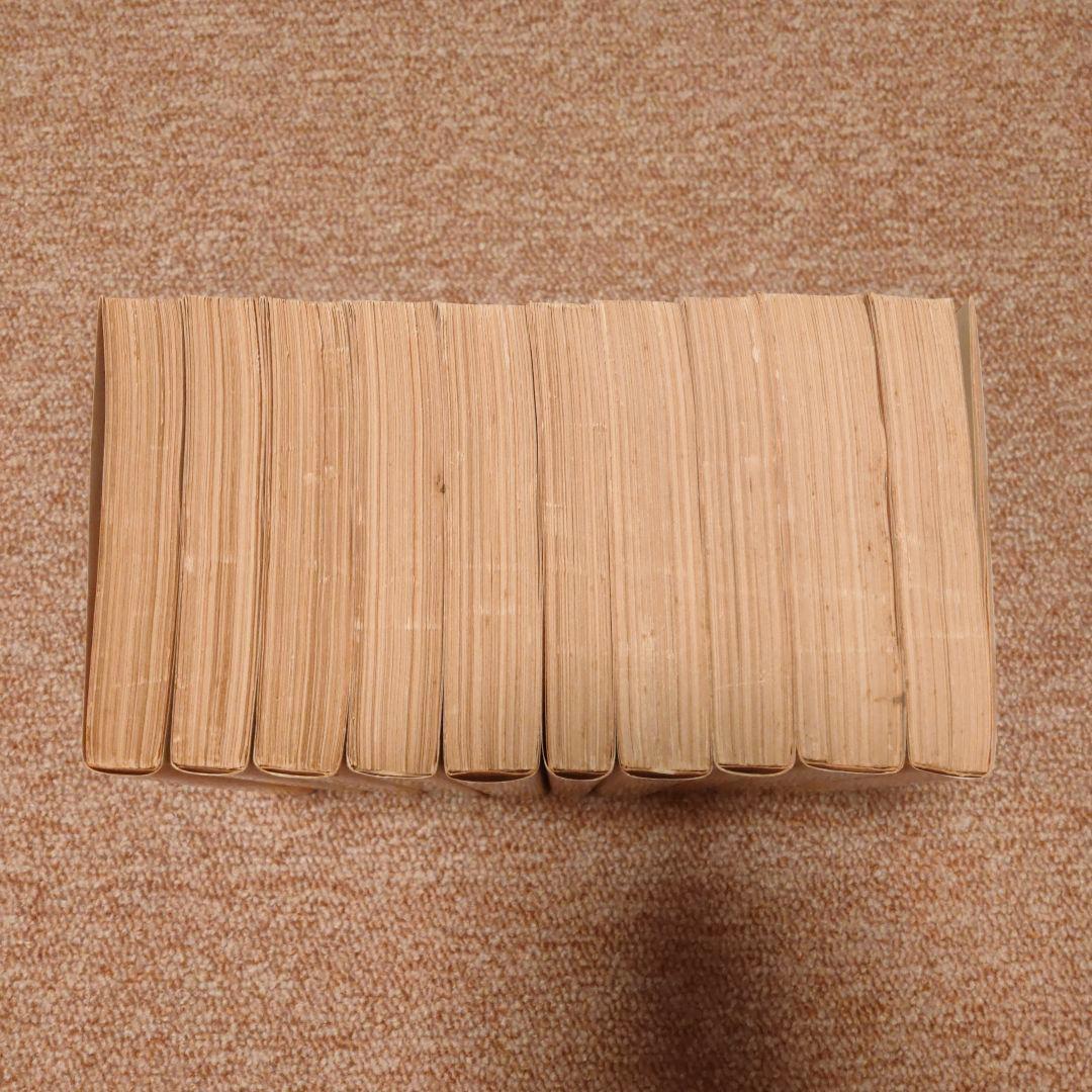 岩波文庫全10巻　南総里見八犬伝　小池藤五郎校訂