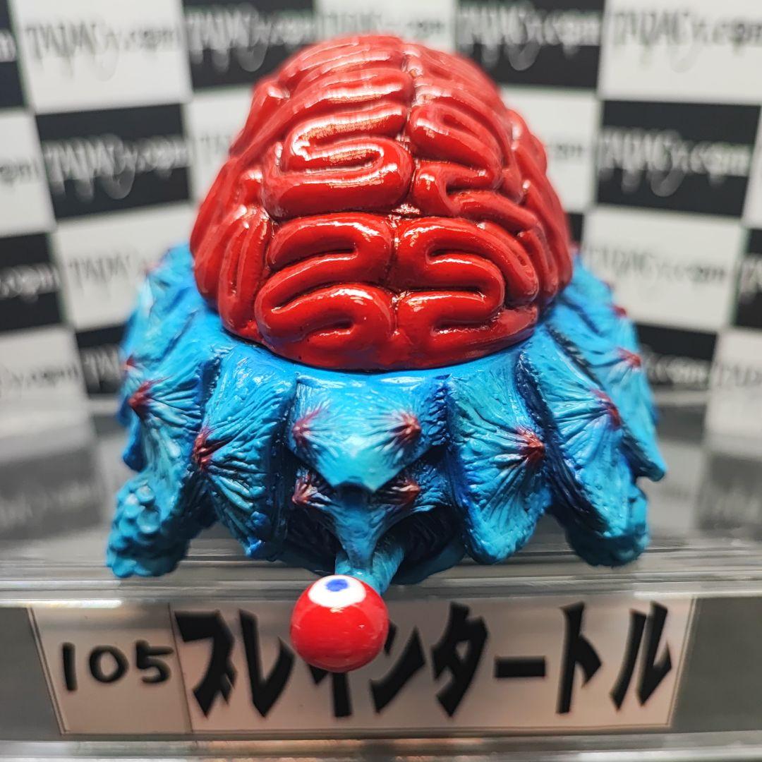 105ブレインタートル