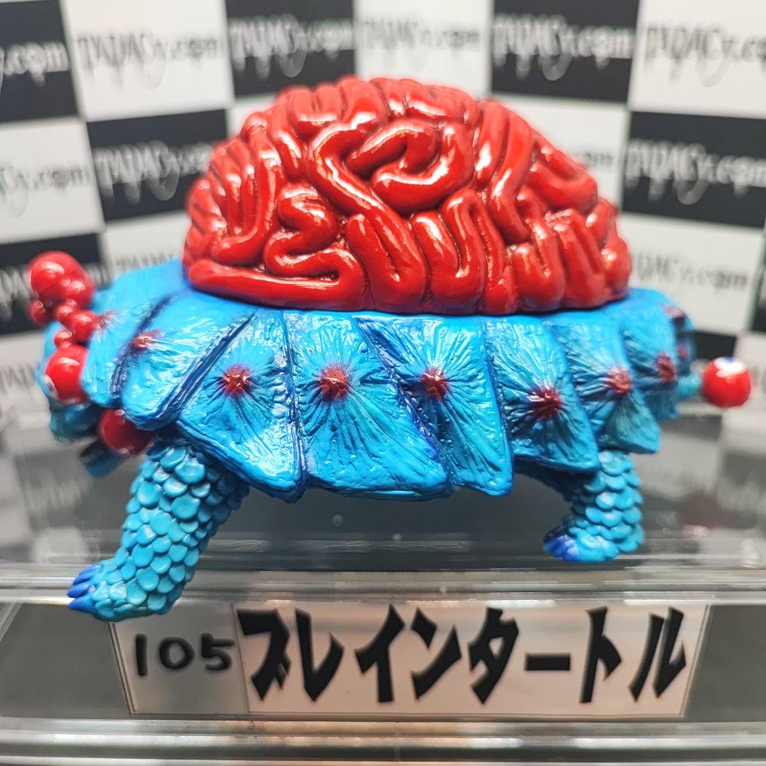 105ブレインタートル