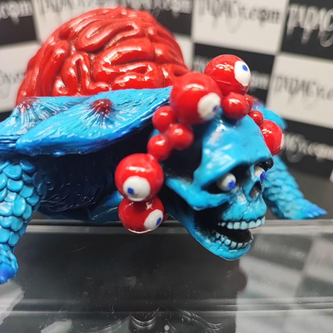 105ブレインタートル