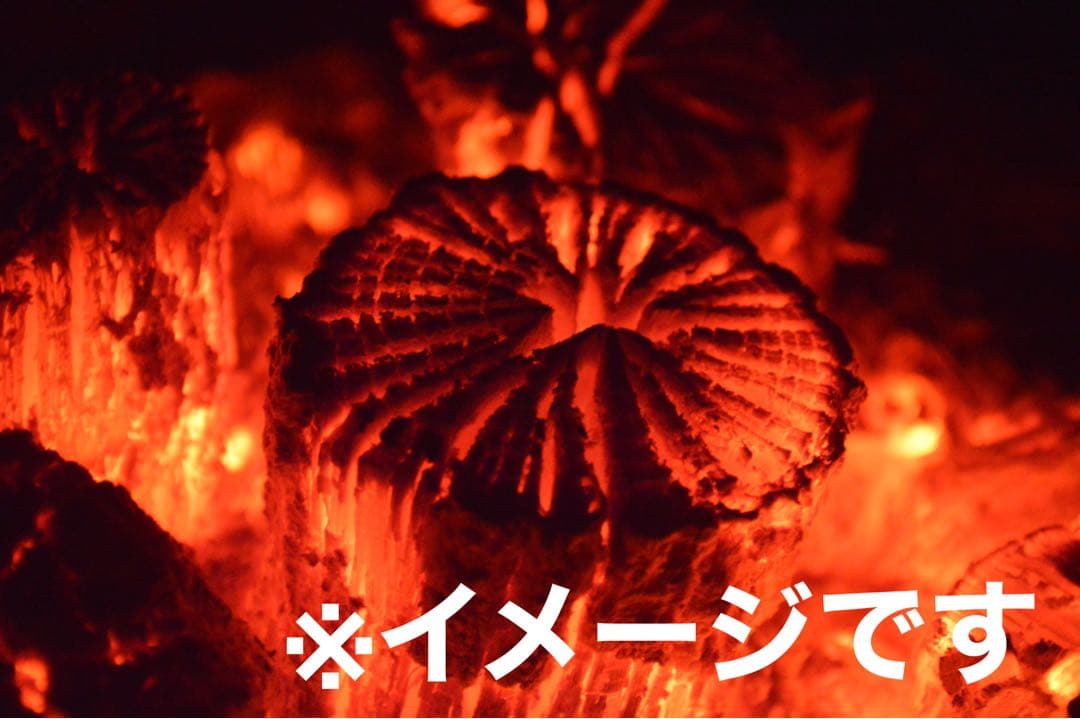 【稽古用】炉用　胴炭