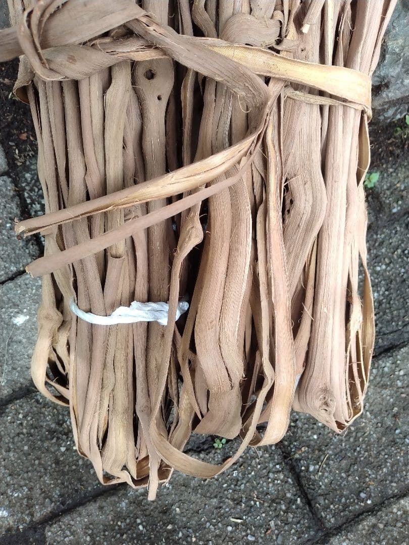 その他 yamabudounokago