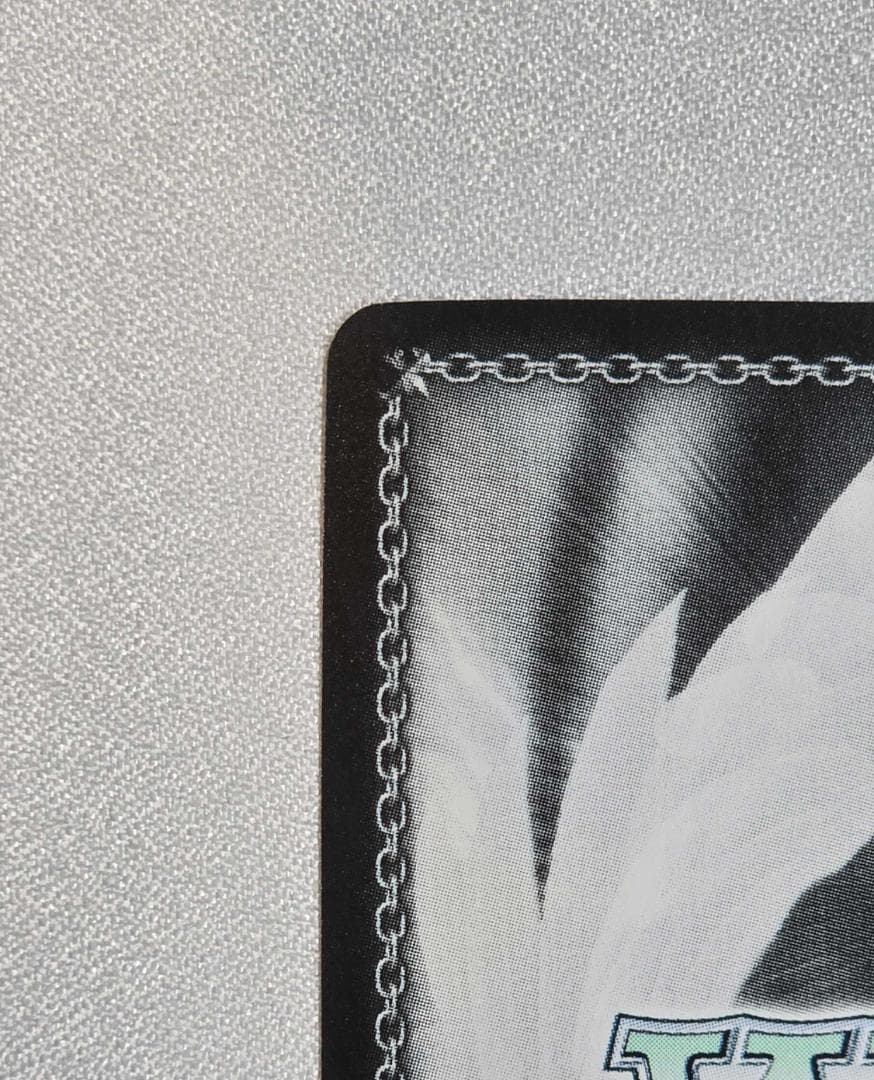 シエン@プロフィール必見様　リクエスト2点おまとめ商品 ヴァイスシュヴァルツ