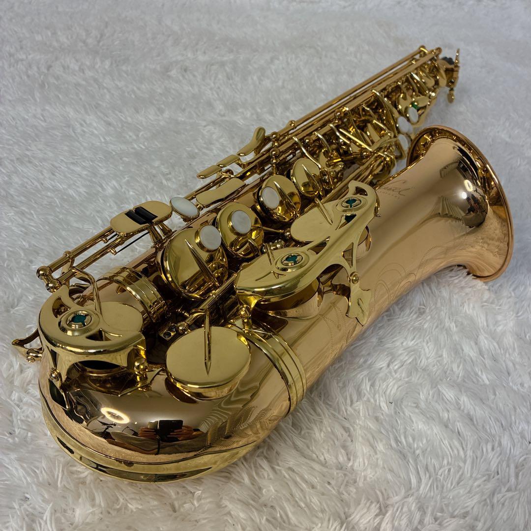 Festi Tiara A アルトサックス 島村楽器 ベトナム製 音楽 楽器