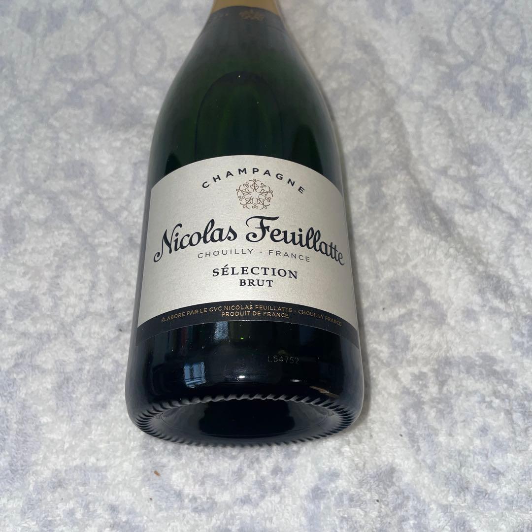 たこあ　6本セット