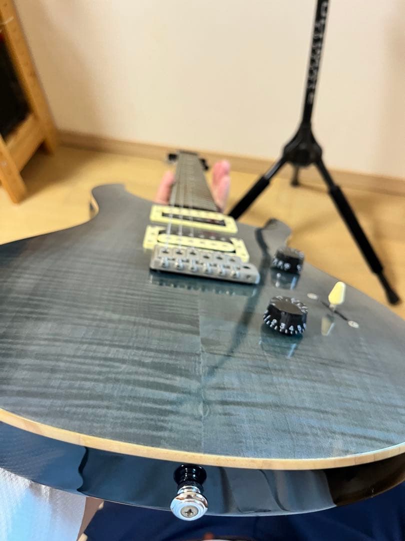 ポールリードスミス　SE custom