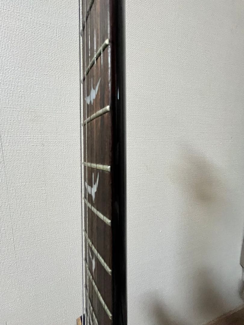 ポールリードスミス　SE custom