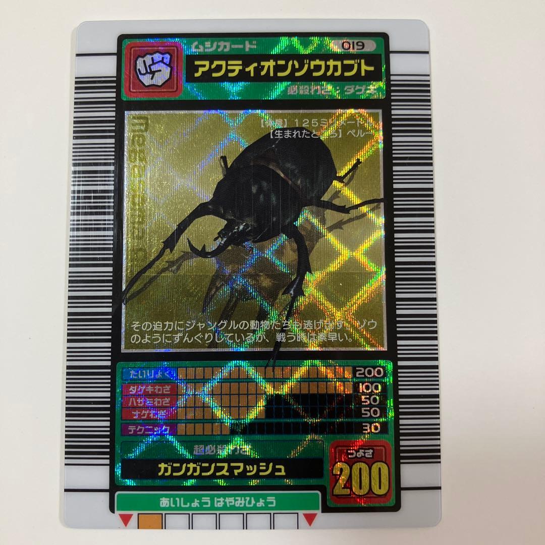 アクティオンゾウカブト 5周年記念 ハードコーティング