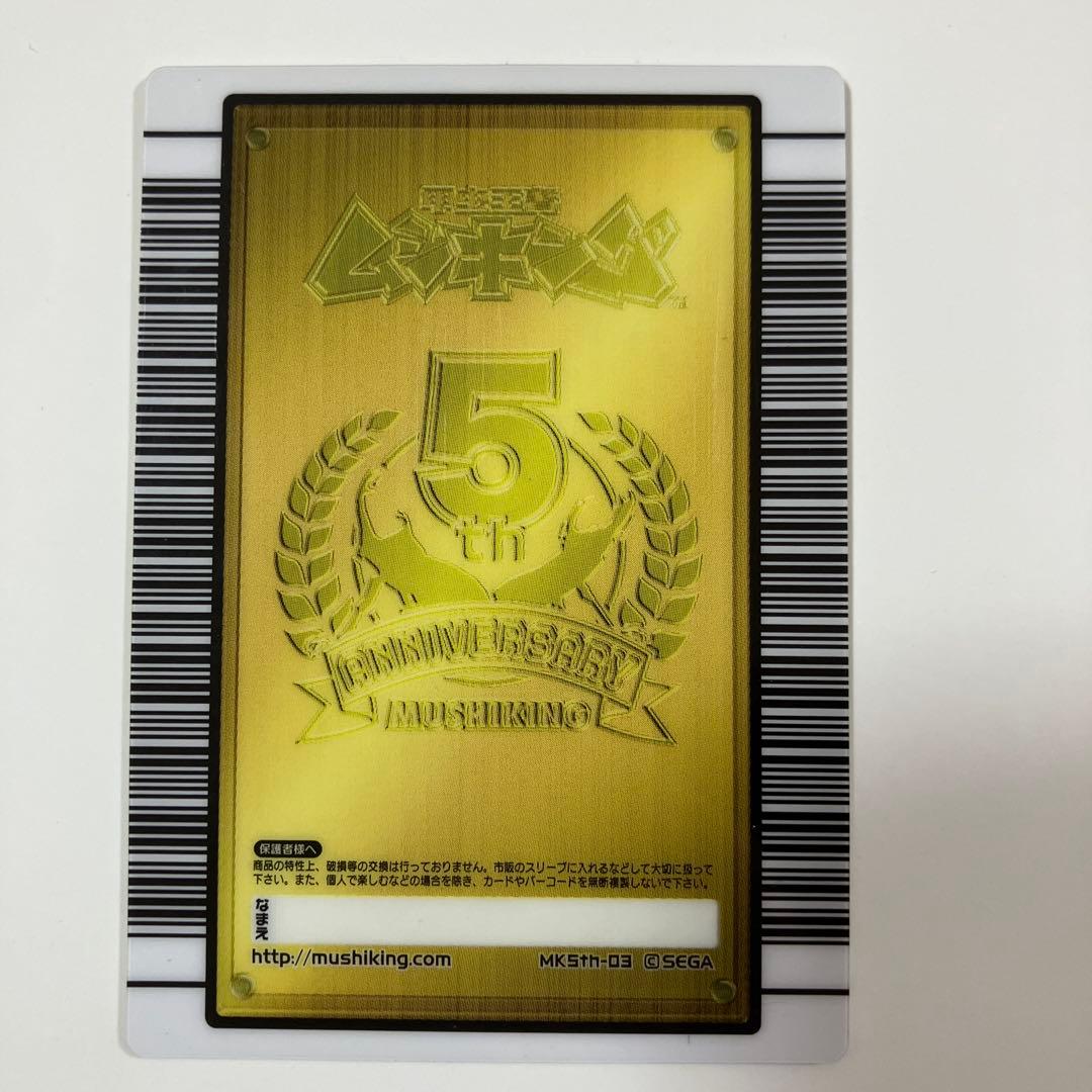 アクティオンゾウカブト 5周年記念 ハードコーティング