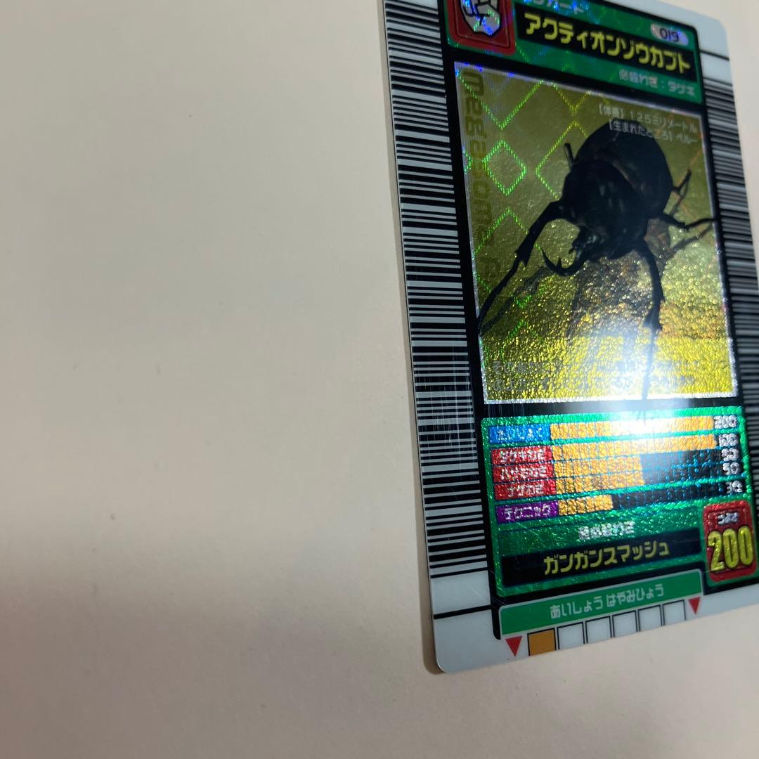 アクティオンゾウカブト 5周年記念 ハードコーティング