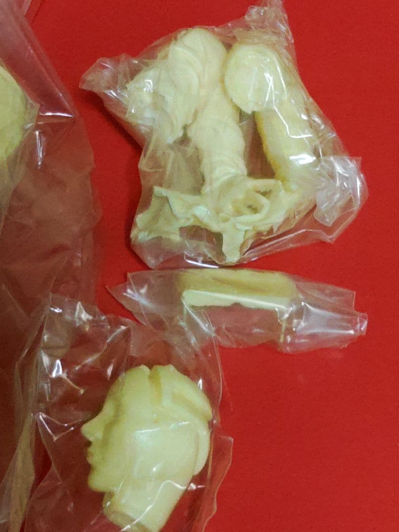 攻殻機動隊　草薙素子　ガレージキット。