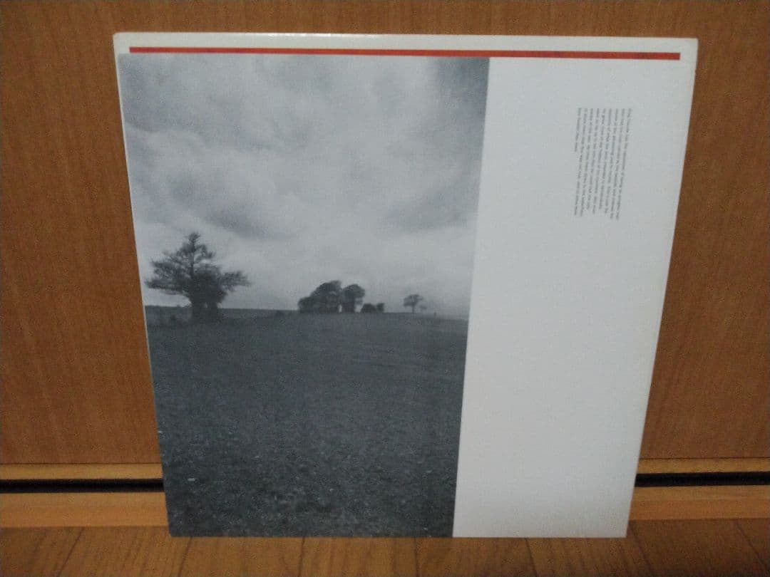 THE HAFLER TRIO．A THIRSTY FISH．レコード！