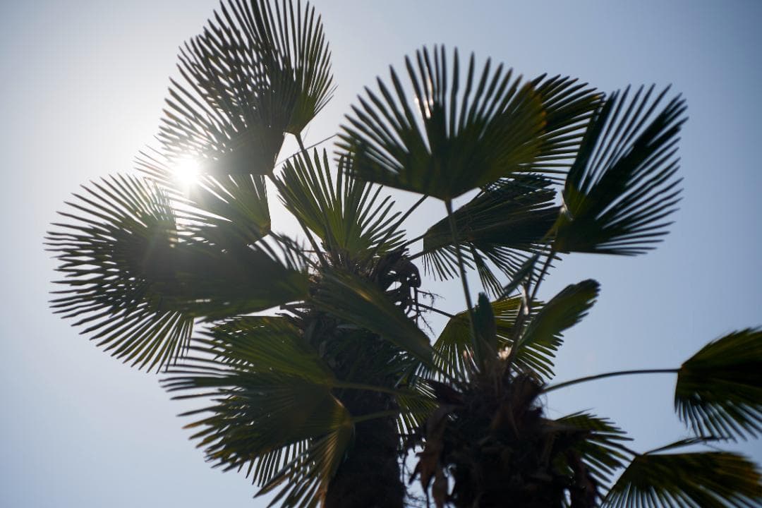 SMC PENTAX F1.4 /50mm KマウントL80