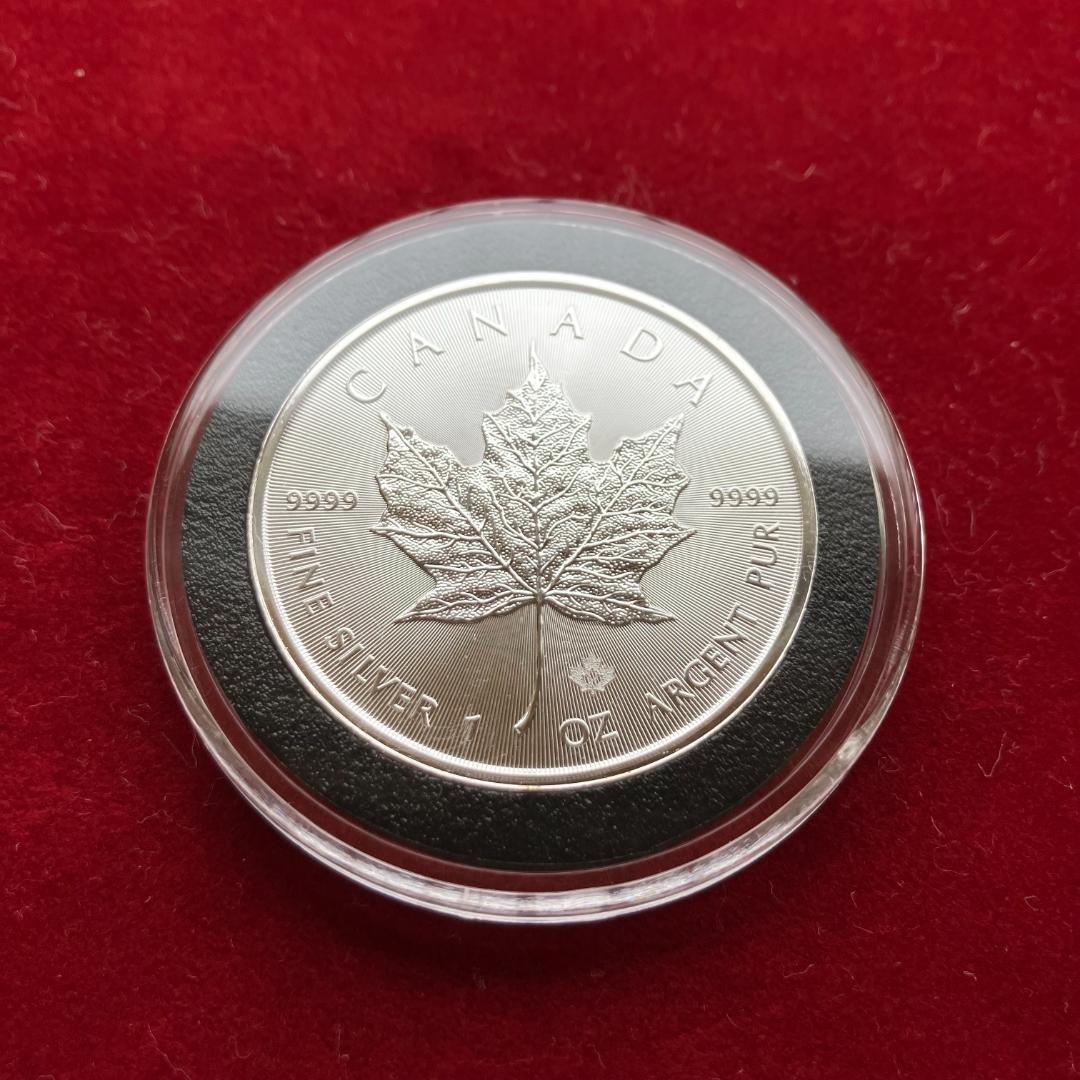20枚◇2021年 カナダ「メイプルリーフ」1オンス 銀貨
