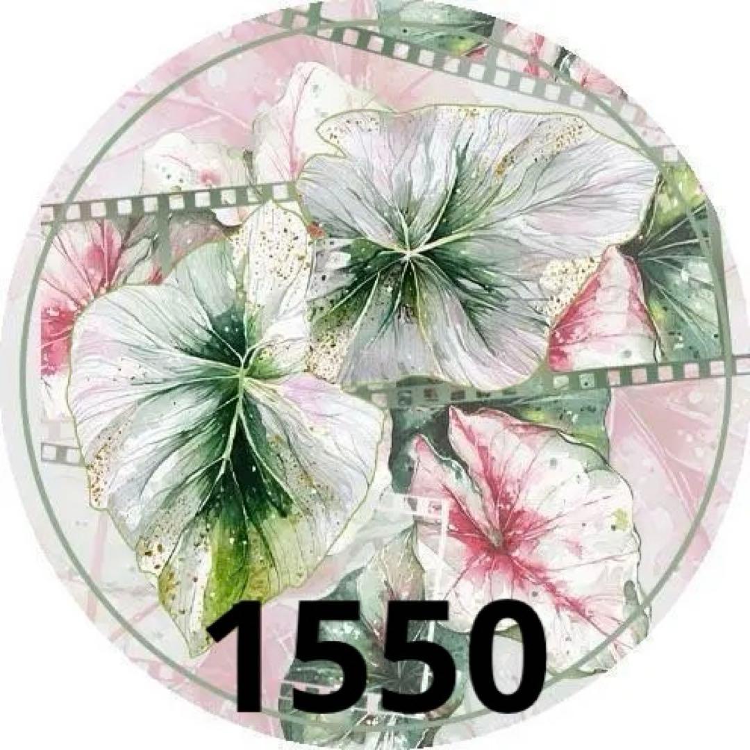 みどちゃん　1002