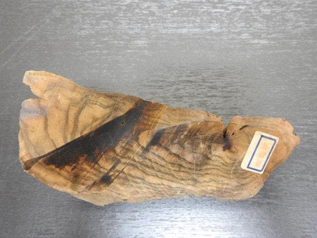 香木　真那賀　MA32