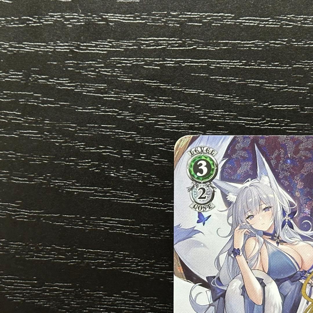 WS 信濃 sp サイン アズレン