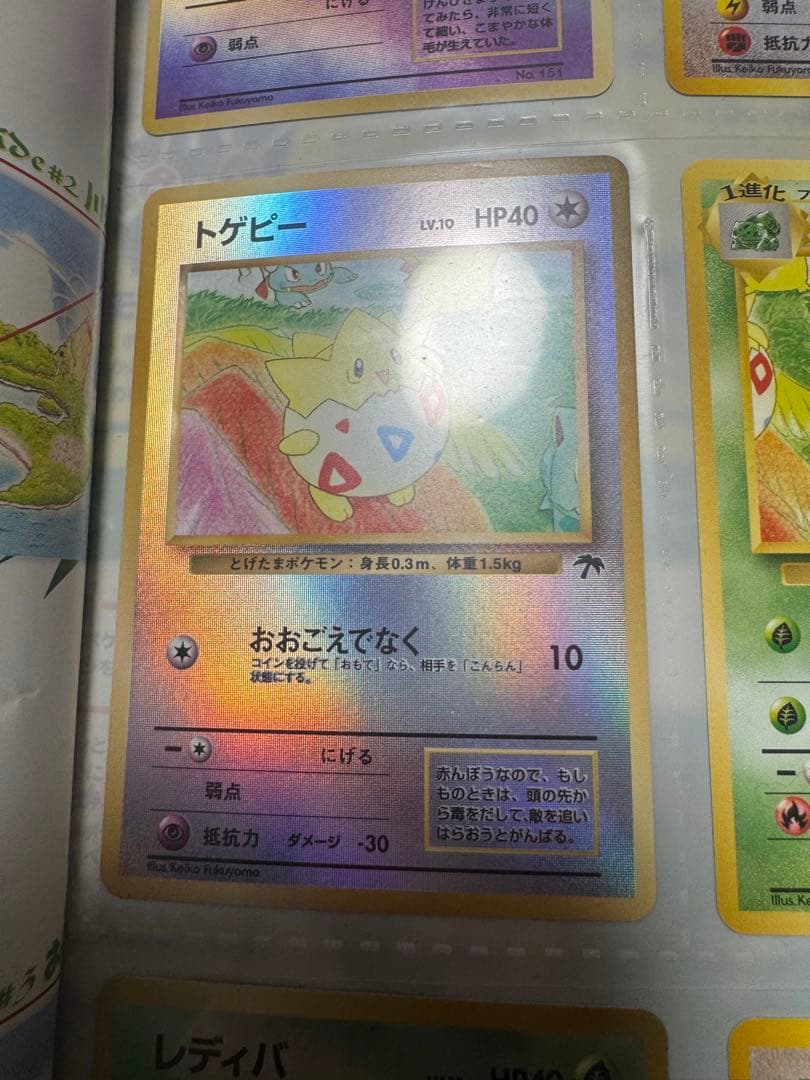 【美品】希少！レインボーアイランド サザンアイランド ポケモンカードゲーム