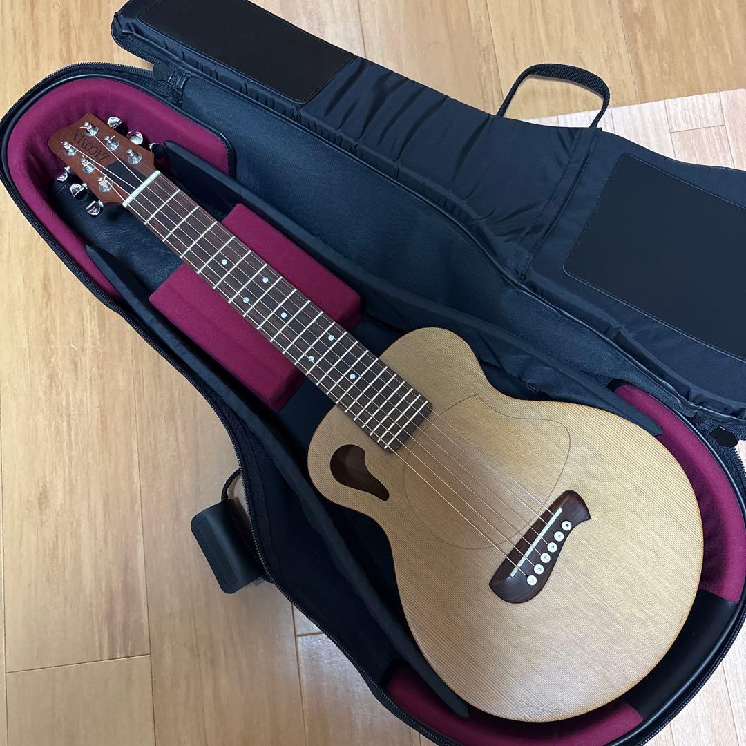 レア　Tacoma P1パプース　ナスカケース付き