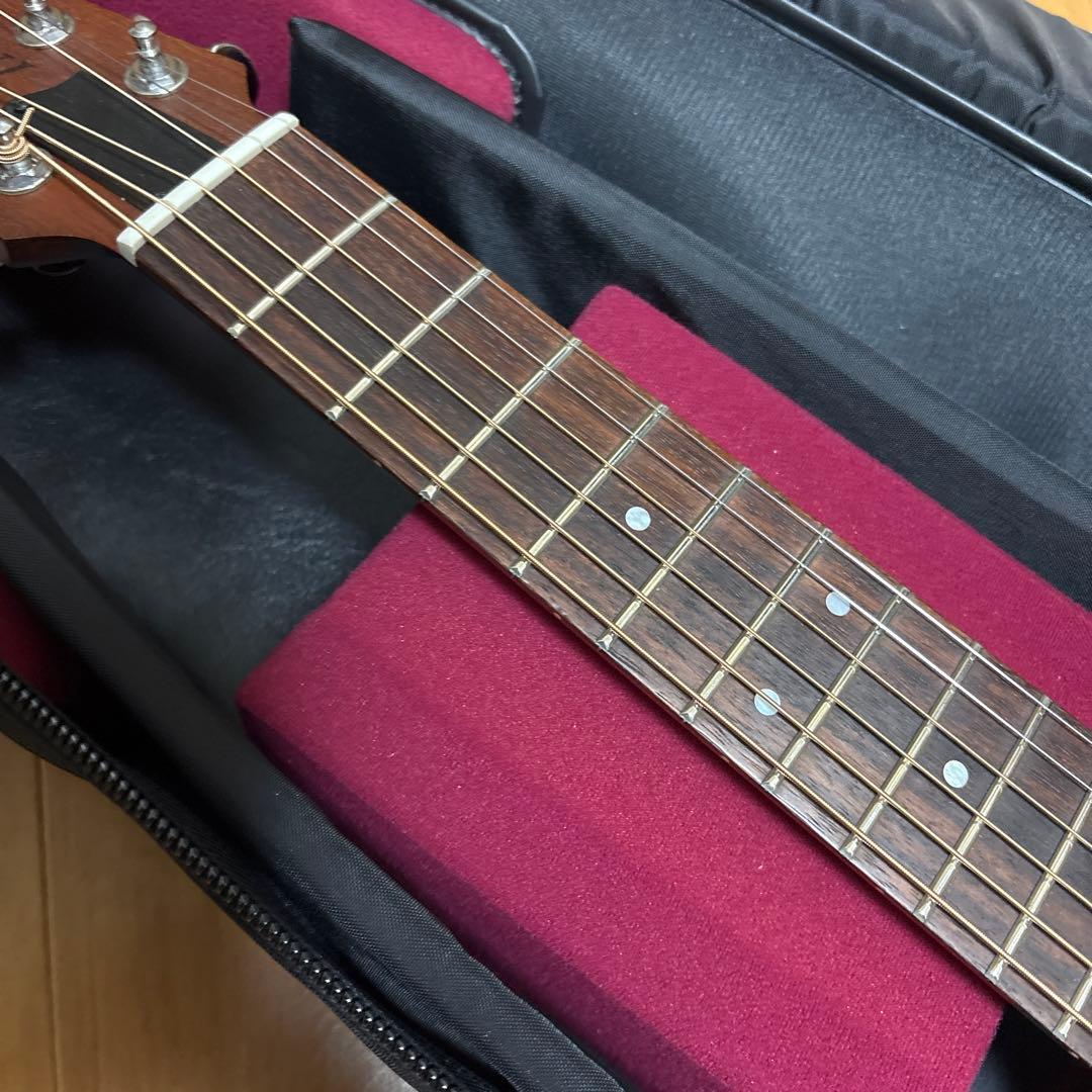 レア　Tacoma P1パプース　ナスカケース付き