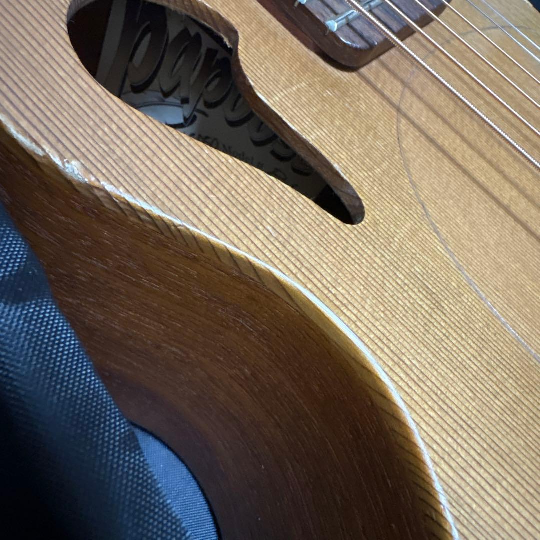 レア　Tacoma P1パプース　ナスカケース付き