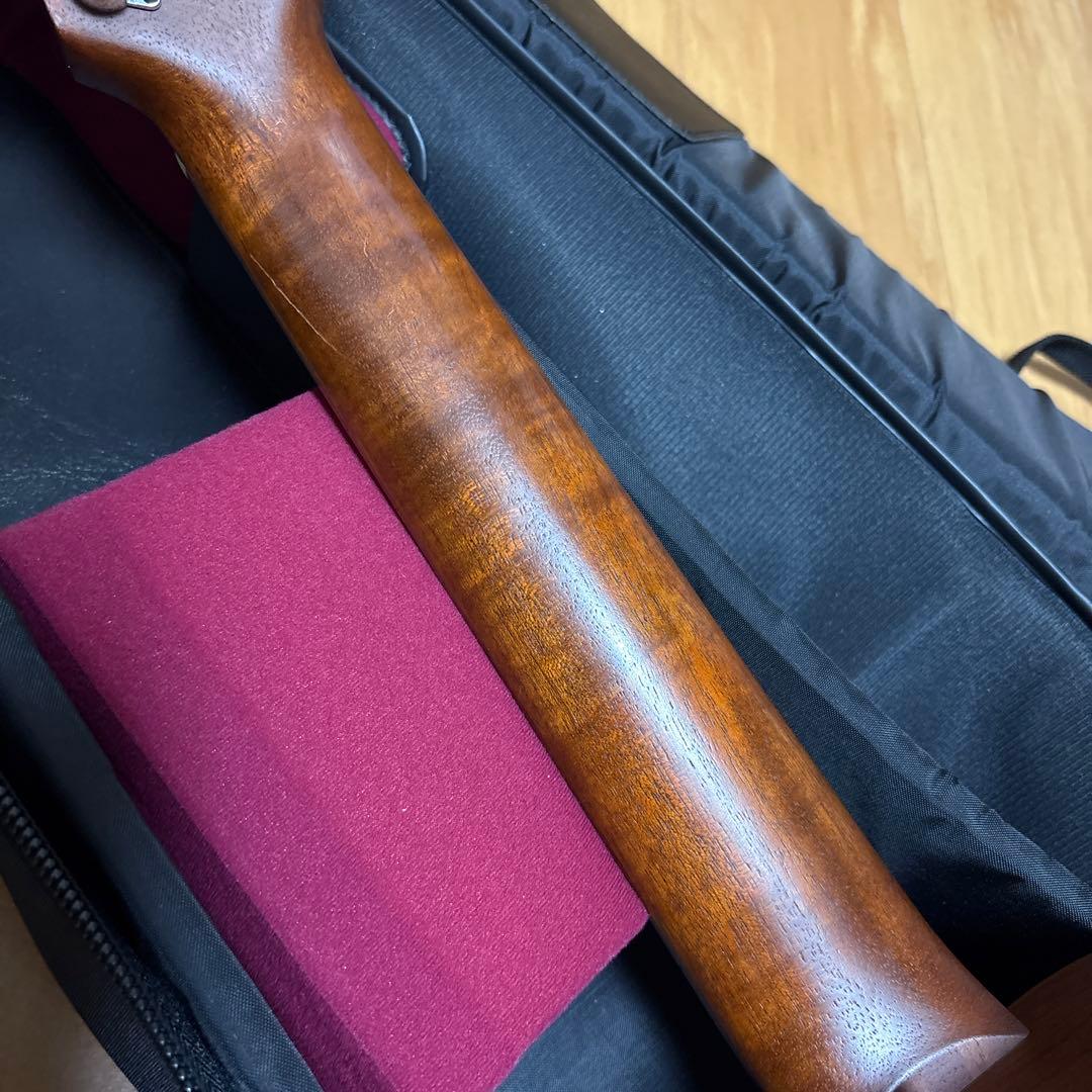 レア　Tacoma P1パプース　ナスカケース付き