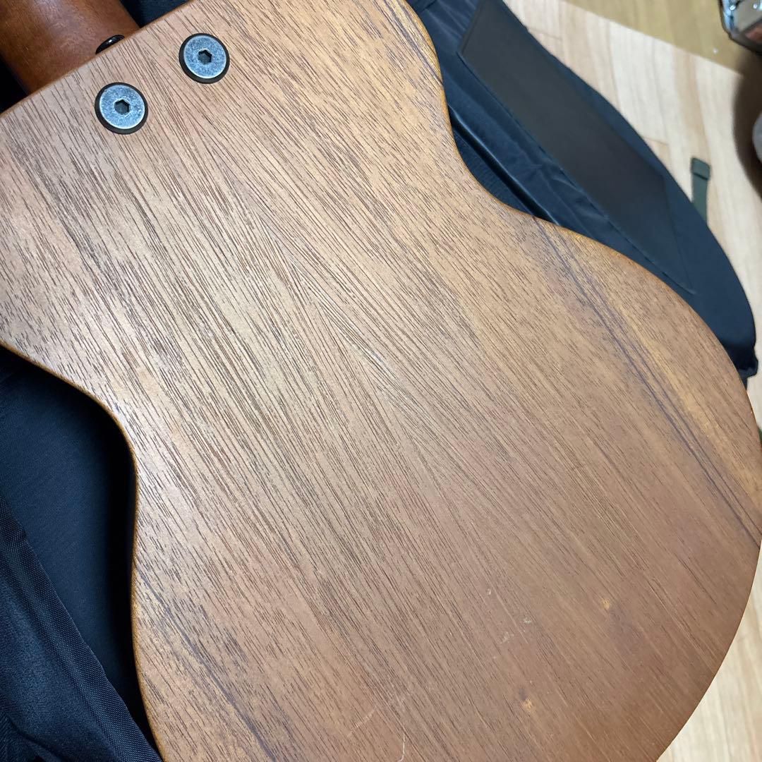 レア　Tacoma P1パプース　ナスカケース付き