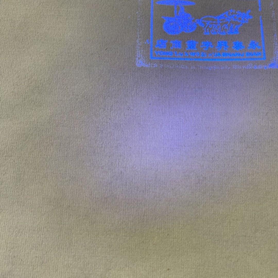 四尺中堂 中国山水画 白雪石 山林幽居図 掛軸 証書付