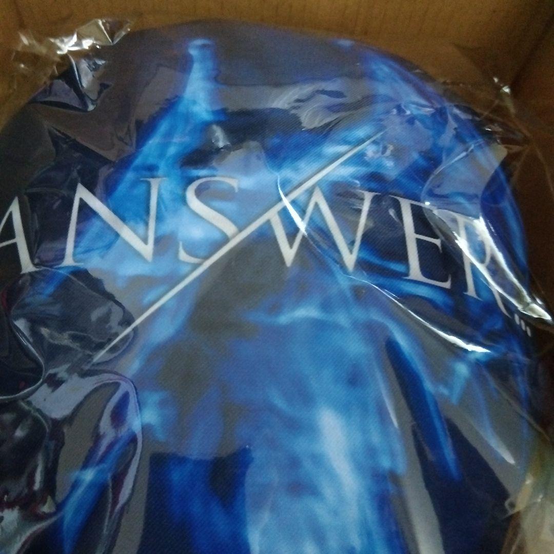 登坂広臣クッション　希少　レア　SPECIAL／SECRET