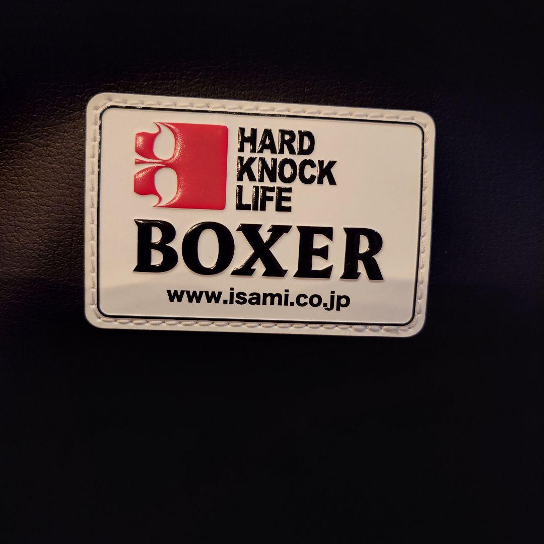 【製造終了】ISAMI(イサミ) ボクサープロテクター 空手 ボクシング 防具
