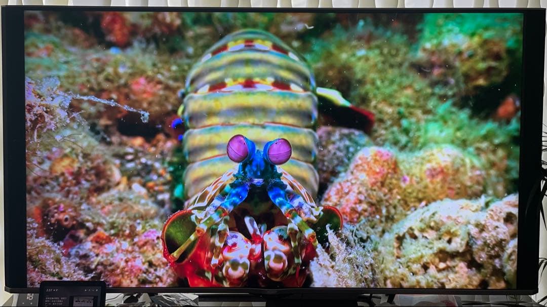 【早い者勝ち】4K対応　SHARP 70型液晶テレビ 4T- C70AU1