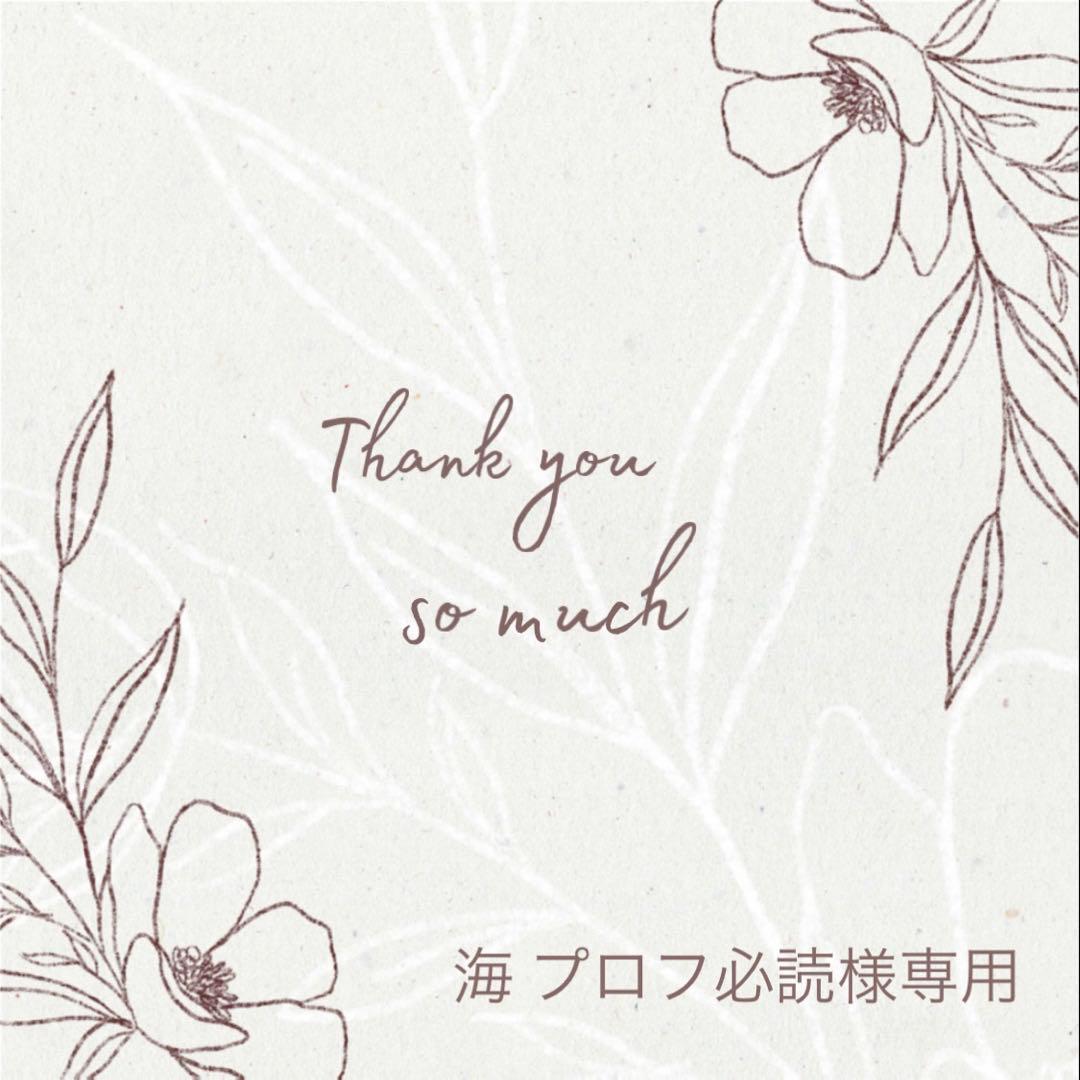 ◆海 プロフ必読◆
