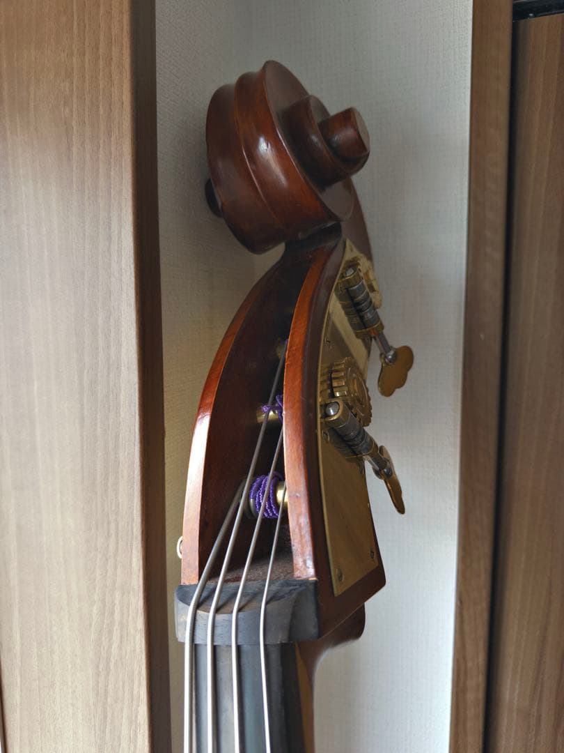 自宅用Gliga Gems Ⅱ G/Cコントラバス(国内4/4サイズ)