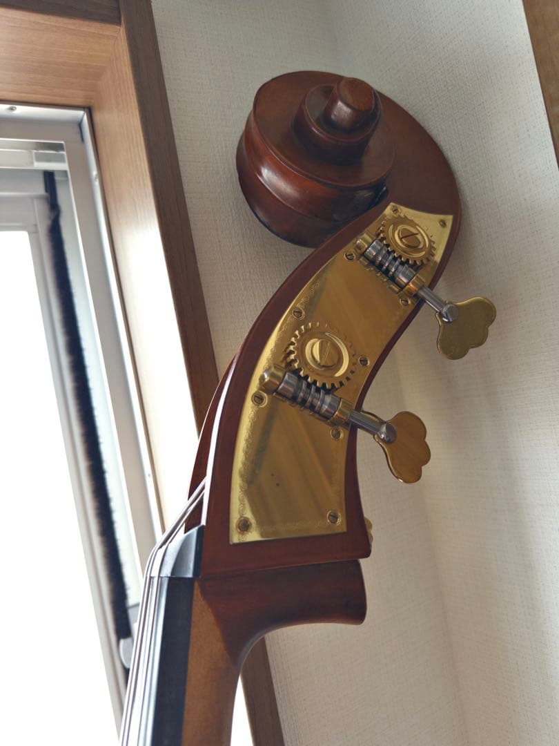 自宅用Gliga Gems Ⅱ G/Cコントラバス(国内4/4サイズ)