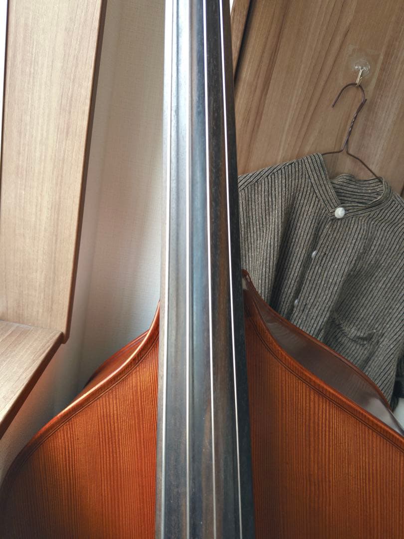 自宅用Gliga Gems Ⅱ G/Cコントラバス(国内4/4サイズ)