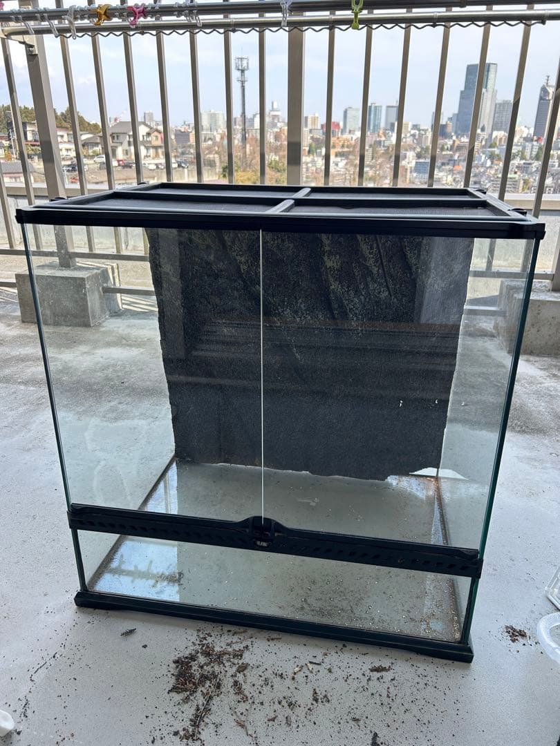 ＧＥＸ　エキゾテラ　グラステラリウム　６０６０