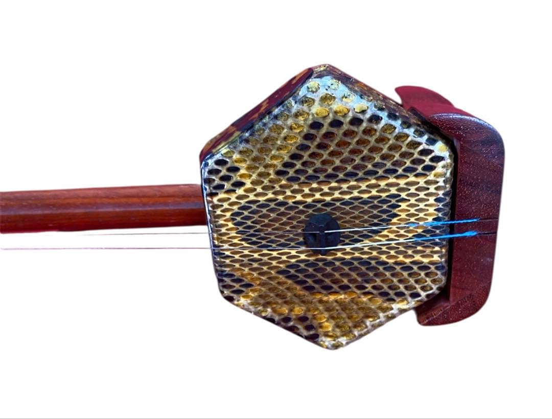 二胡 紅木 蛇皮 セミハードケースセット