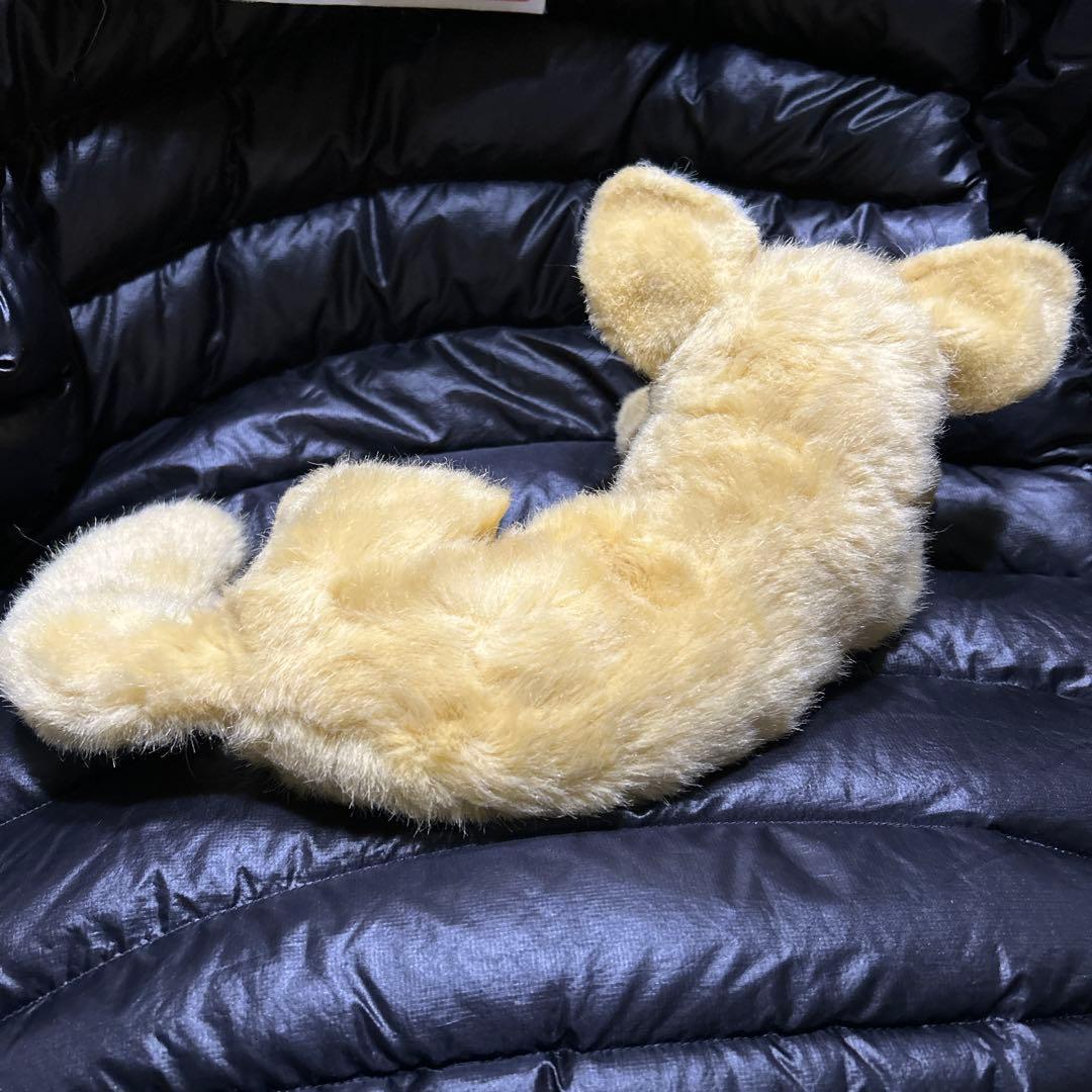 KOSEN ケーセン　ぬいぐるみ　フェネック　砂漠ギツネ 伏せ❣️